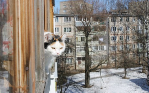 В Саранске потеплеет не раньше среды