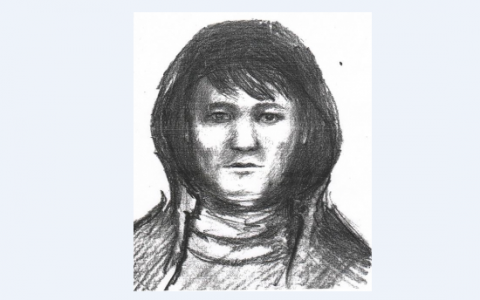 В Мордовии ищут мужчину, нападающего на несовершеннолетних