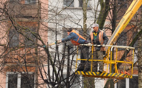 В Саранске займутся обустройством парков