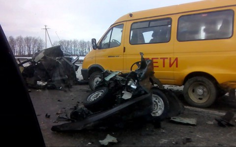 В Мордовии легковушку разнесло в щепки, но водитель остался жив