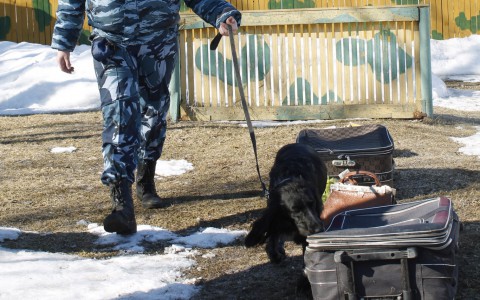 Жители Саранска привезли из Москвы наркотик, чтобы травить горожан