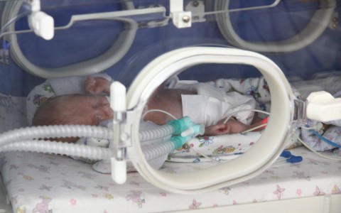 Стало известно, сколько детей появилось на свет 14 февраля в Саранске