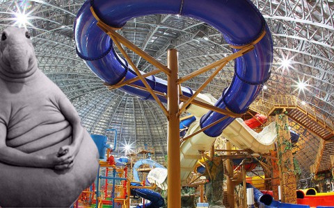 На некоторых городских объектах поселился "Ждун"