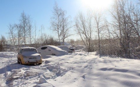 19 февраля в Саранске будет плюсовая температура