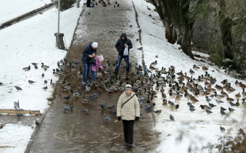 В Саранске будет моросить дождик