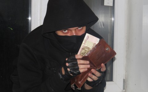 Братья из Мордовии сначала помогли бабушке, а потом обокрали ее дом