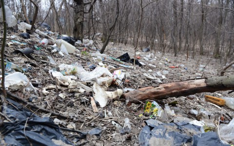 Мордовия оказалась в числе самых грязных регионов