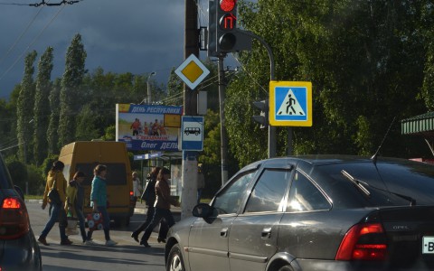 В Мордовии под колеса автомобиля попал пенсионер
