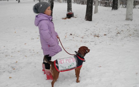 История с укушенной собаками школьницей из Саранска получила продолжение: следователи возбудили уголовное дело