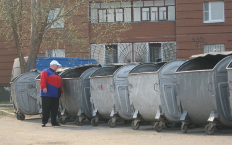 Саранск занял первое место в рейтинге Гринписа