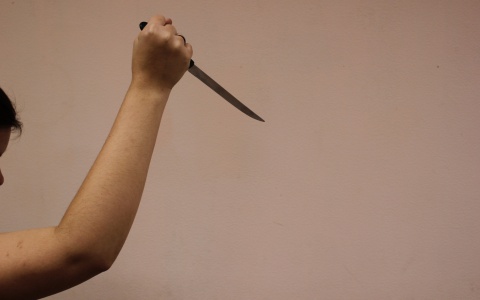 Неадекватный житель Оренбурга порезал жителя Мордовии и угнал у него машину