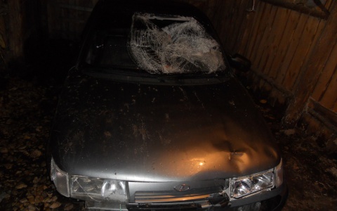 Появились подробности ДТП в Мордовии, где водитель сбил пенсионера и сбежал (фото)