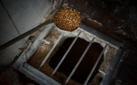 В Мордовии обнаружили 150 тонн зараженного зерна