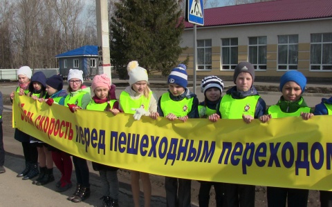 Школьники из Мордовии рассказали участникам дорожного движения о безопасности