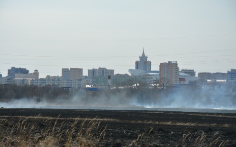 Сезон пала открыт: В Мордовии начала гореть сухая трава