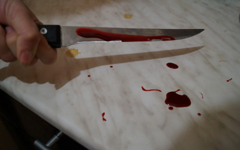 Жительница Саранска зарезала собутыльника и теперь поедет лечиться