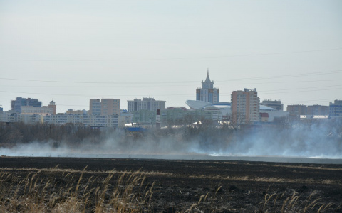 За сутки в Мордовии пожарные 60 раз выезжали на тушение горящей травы