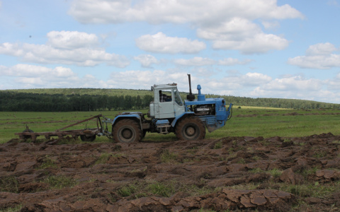 В Саранске осужден тракторист, по вине которого погибла работница на картофельном поле