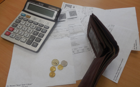 В России основы финансовой грамотности начнут изучать с детского сада