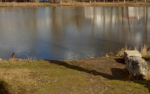 Эксперт:  «Не думаю, что саранская школьница свела счеты с жизнью»