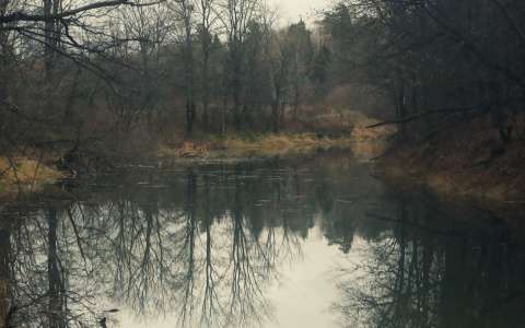 Прокуратура Мордовии вернула государству пруд, который чиновники отдали частнику