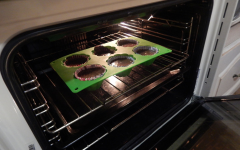 Житель Саранска заплатил за несуществующую духовку более 20 тысяч рублей