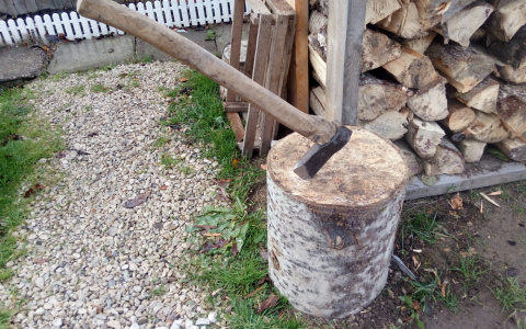 Пропавшую без вести жительницу Мордовии нашли мертвой