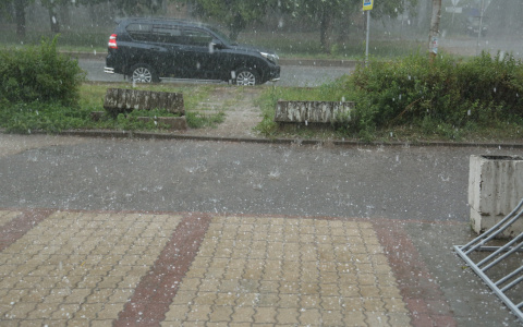 Погода в Саранске 24 апреля: ожидается дождь