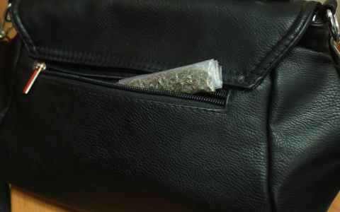 В Мордовии задержаны двое мужчин за растительные наркотики