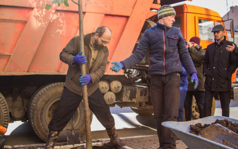 В Саранске высадили 1590 молодых деревьев