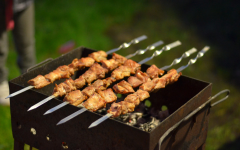 В Саранске активно ставят мангалы в местах отдыха