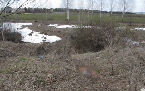 В Мордовии пенсионер отрезал голову супруге и выбросил недалеко от дома