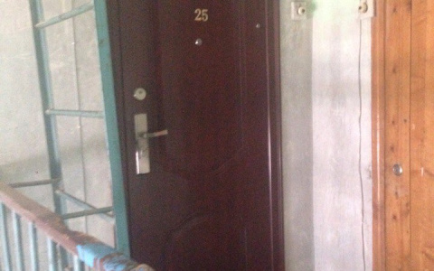 Соседи обезглавленной под Саранском женщины: «Муж постоянно ее бил, даже проломил как-то голову»