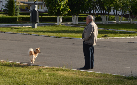Погода в Саранске 28 апреля: будет солнечно
