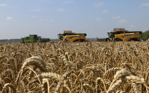 Инвесторы из Израиля заинтересованы в сотрудничестве с Мордовией в сфере АПК