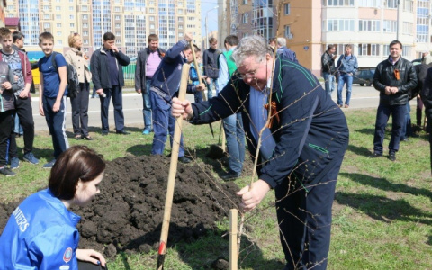 Врио Главы Мордовии принял участие в закладке березовой аллеи