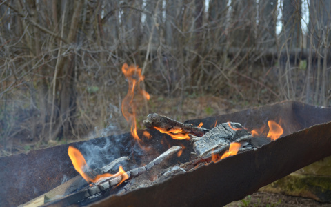 Гороскоп на 3 мая: одному из знаков следует избегать суеты