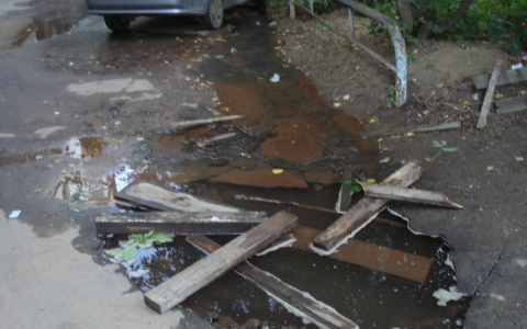 Под Владивостоком мальчик захлебнулся в луже