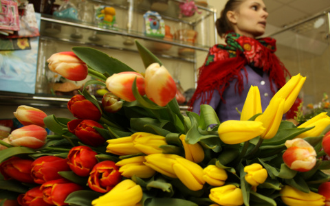 В Саранске предпринимательницу обманули телефонные мошенники