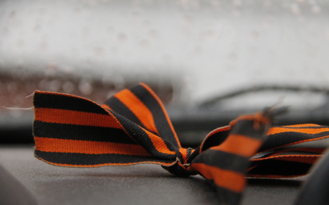 На матч «Мордовия» - «Волгарь» болельщиков с георгиевскими ленточками будут пускать бесплатно