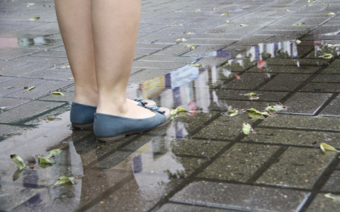 Погода в Саранске 8 мая: ожидается дождь