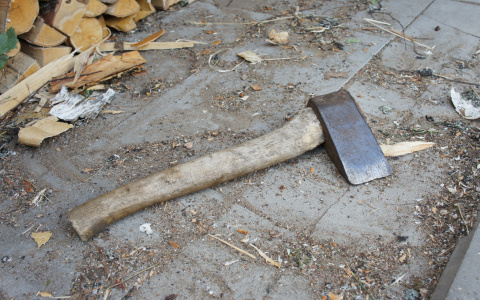 Житель Саранска нанес товарищу 18 ударов топором за оскорбление матери