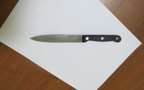 В Саранске пенсионерка ударила мужа ножом во время пьяной ссоры