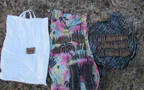 Житель Мордовии почти три года незаконно хранил в квартире боеприпасы