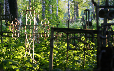 На Урале школьники разгромили кладбище в поисках конфет