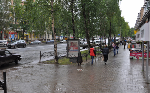 Погода в Саранске 17 мая: возможен небольшой дождь