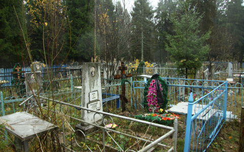 Жителя Мордовии задержали за осквернение могил