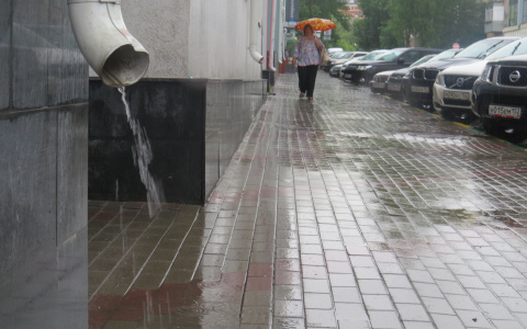 Погода в Саранске 21 мая: ожидается дождь