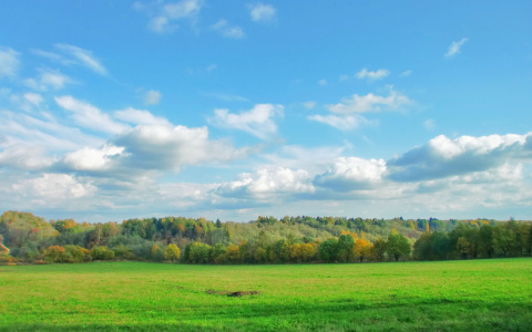 Погода в Саранске 22 мая: будет солнечно