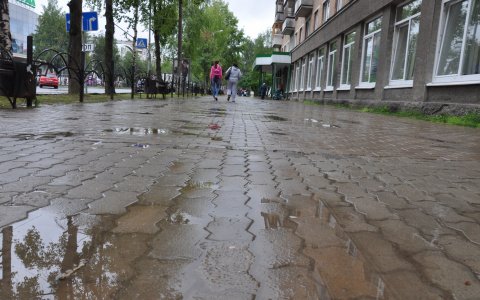 Погода в Саранске 24 мая: возможен небольшой дождь